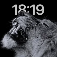 Depth Effect Wallpaper